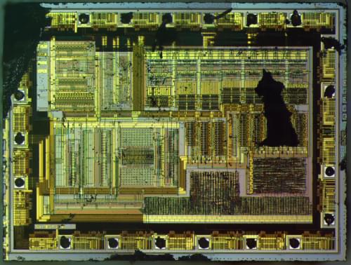 S4L85K1X01_chip decapped